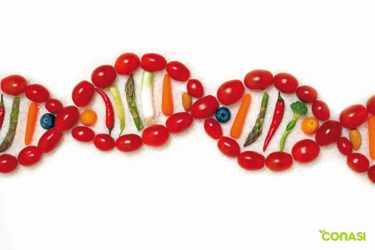 Cómo afecta la genética a la variabilidad en dietas
