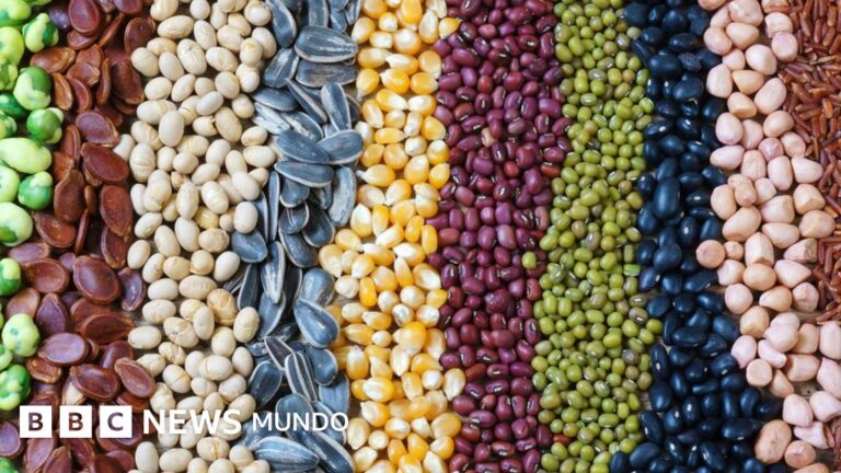 Cómo los vegetales ayudan a controlar el apetito