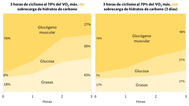 Efecto de las calorías en la comida postentrenamiento