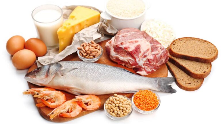Qué papel tiene la proteína en la época de competición