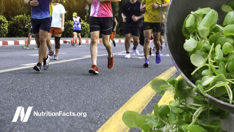Relación entre proteína y estrés oxidativo en deportistas